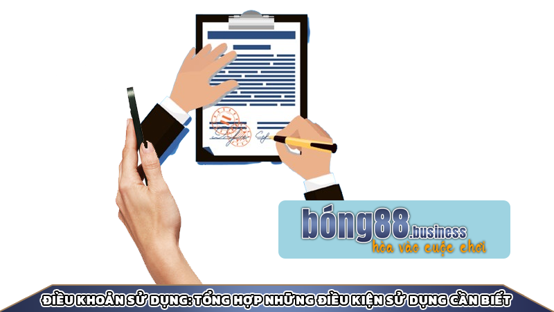 Điều khoản sử dụng: Tổng hợp những điều kiện sử dụng cần biết