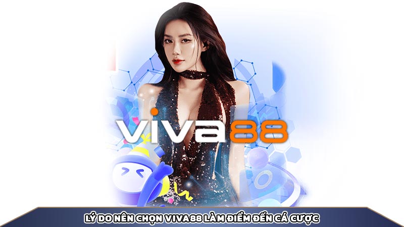 Lý do nên chọn viva88 làm điểm đến cá cược