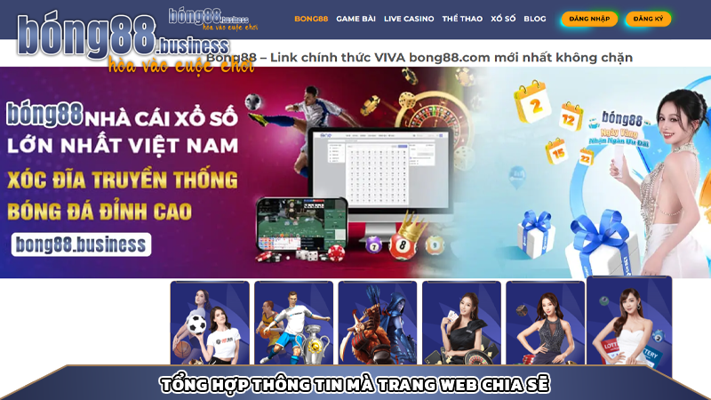 Tổng hợp thông tin mà trang web chia sẽ